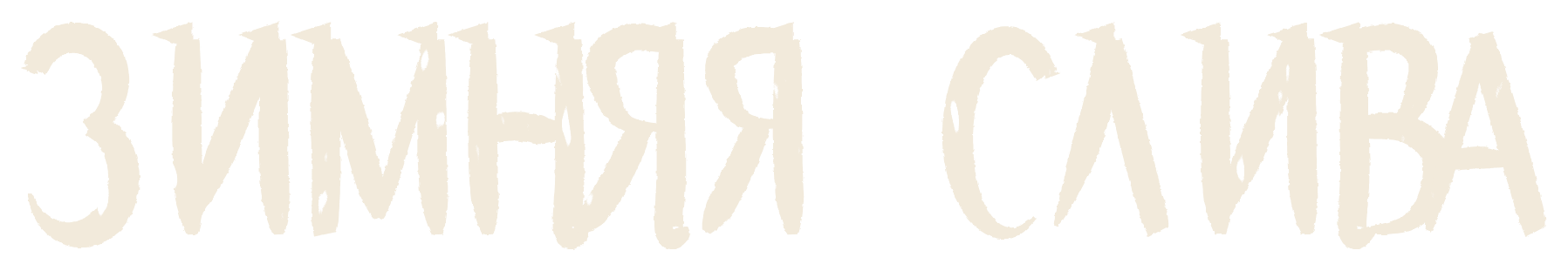 Зимняя слива